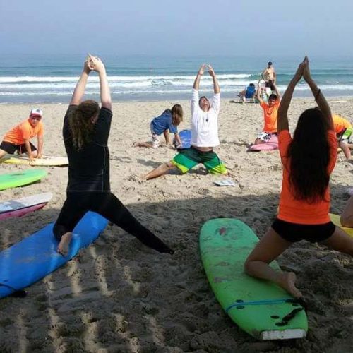 חליפות גלישה